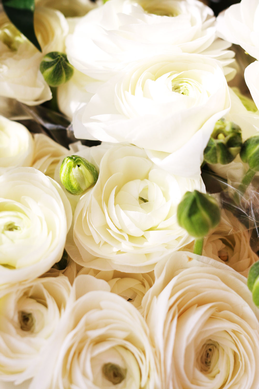 Flower Arranging Workshop
