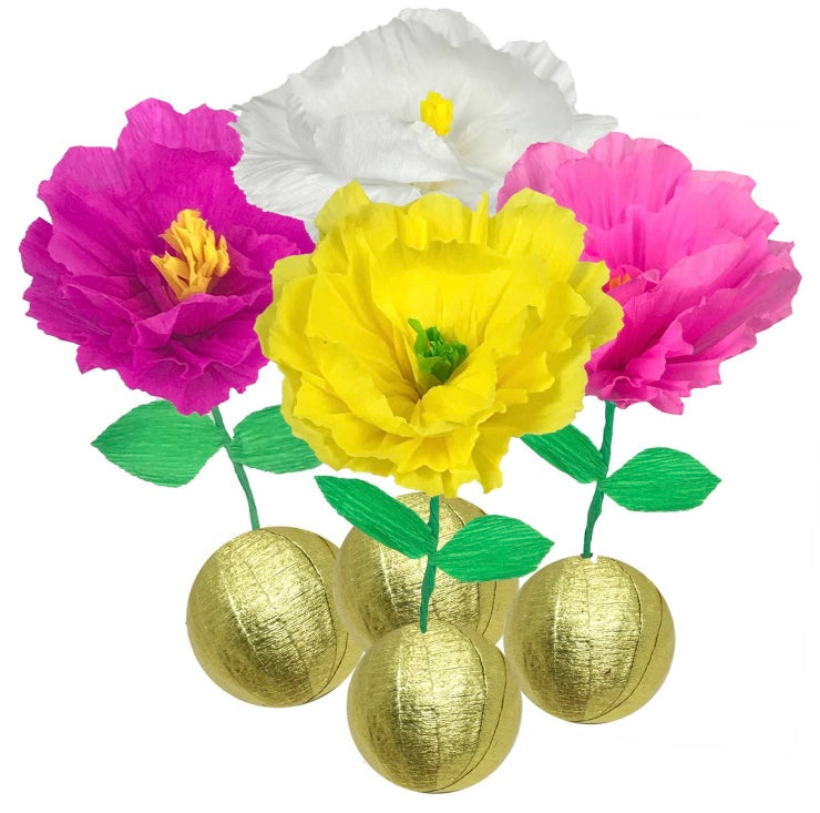 Surprize Ball Flower Bulb